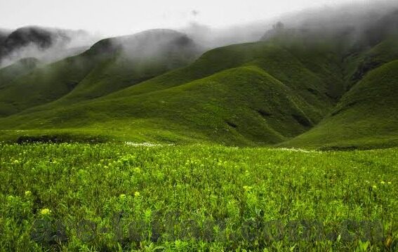 足球比分预测模型-揭秘足球比分预测模型，数据科学如何改写绿茵场的胜负密码？